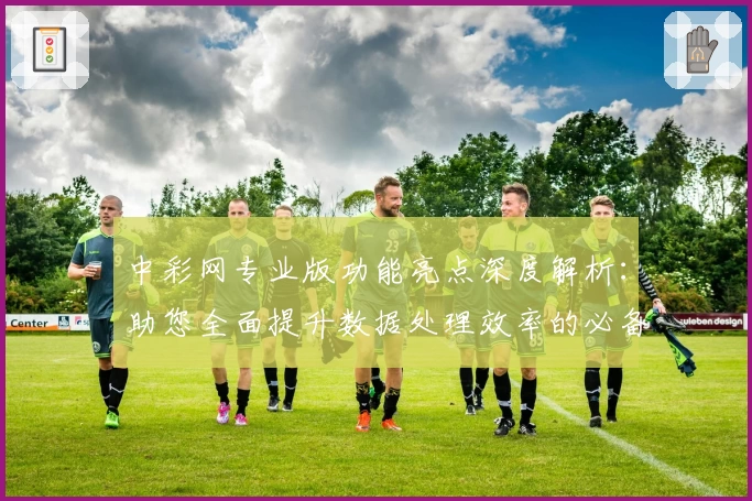 中彩网专业版功能亮点深度解析：助您全面提升数据处理效率的必备工具