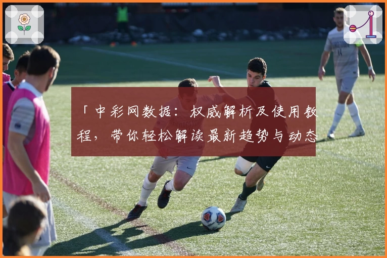 「中彩网数据：权威解析及使用教程，带你轻松解读最新趋势与动态」