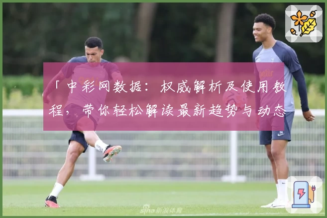 「中彩网数据：权威解析及使用教程，带你轻松解读最新趋势与动态」