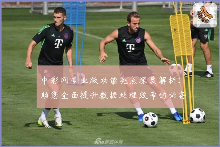 中彩网专业版功能亮点深度解析：助您全面提升数据处理效率的必备工具