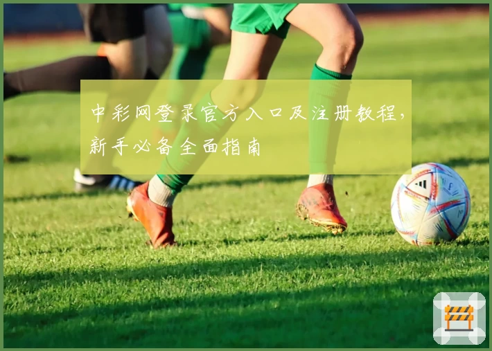 中彩网登录官方入口及注册教程，新手必备全面指南