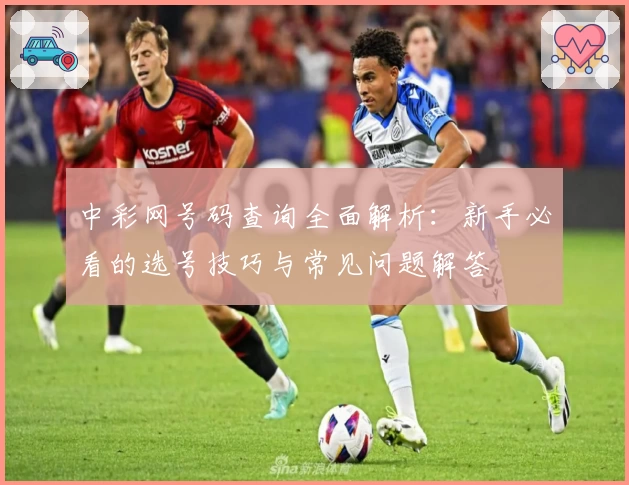 中彩网号码查询全面解析：新手必看的选号技巧与常见问题解答