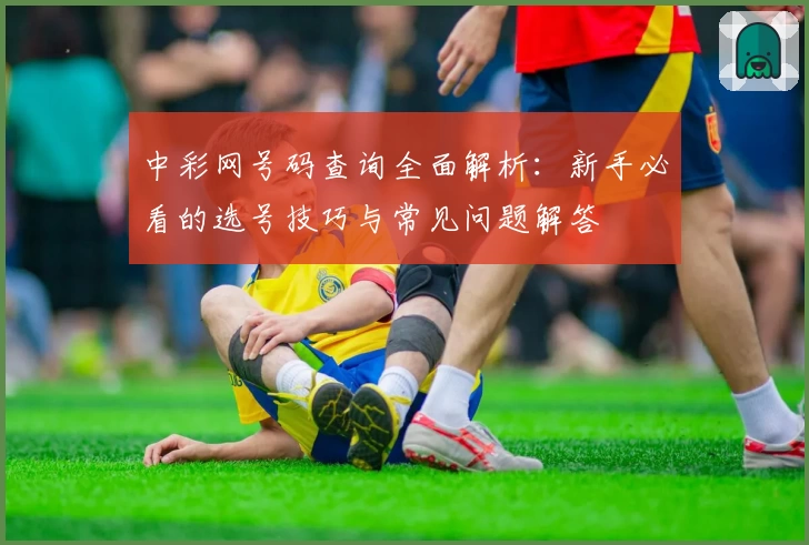 中彩网号码查询全面解析：新手必看的选号技巧与常见问题解答
