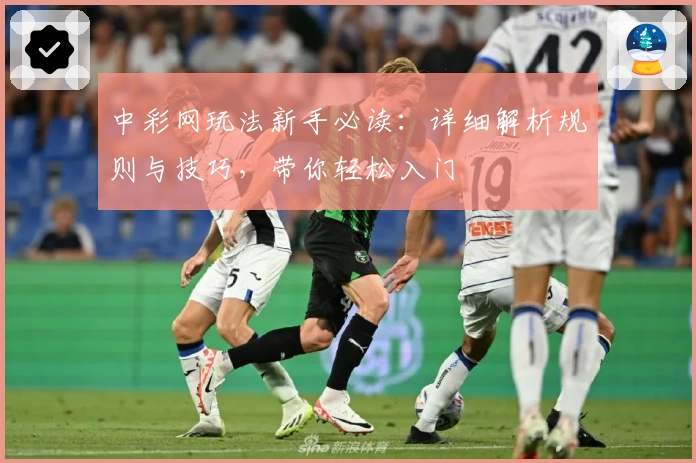 中彩网玩法新手必读:详细解析规则与技巧,带你轻松入门