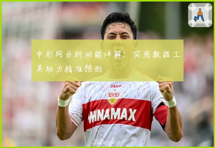 中彩网分析功能详解：实用数据工具助力精准预测